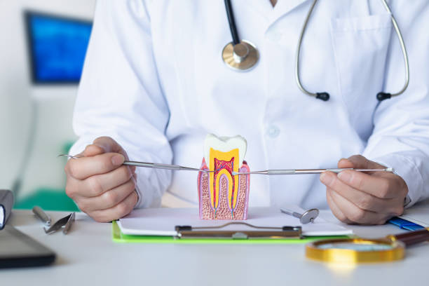 Best Urgent Care for Lost Fillings or Crowns in Cao, ND